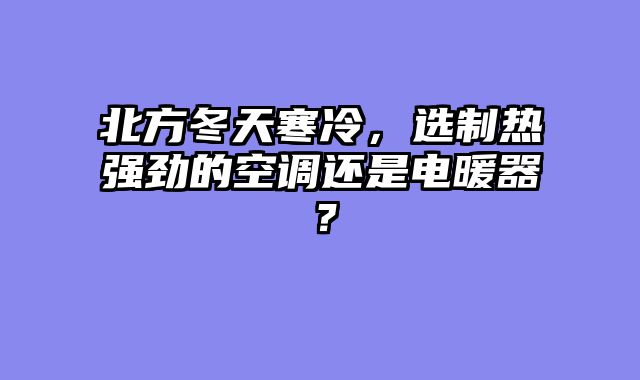 北方冬天寒冷，选制热强劲的空调还是电暖器？