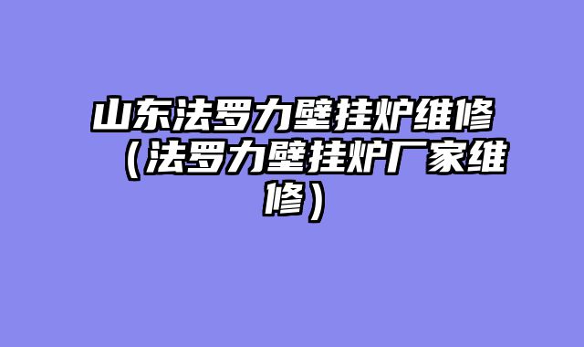 山东法罗力壁挂炉维修（法罗力壁挂炉厂家维修）