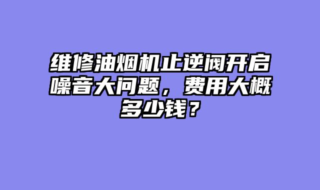 维修油烟机止逆阀开启噪音大问题，费用大概多少钱？