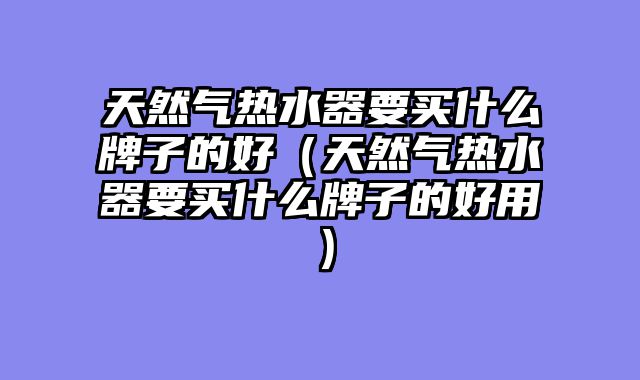 天然气热水器要买什么牌子的好（天然气热水器要买什么牌子的好用）