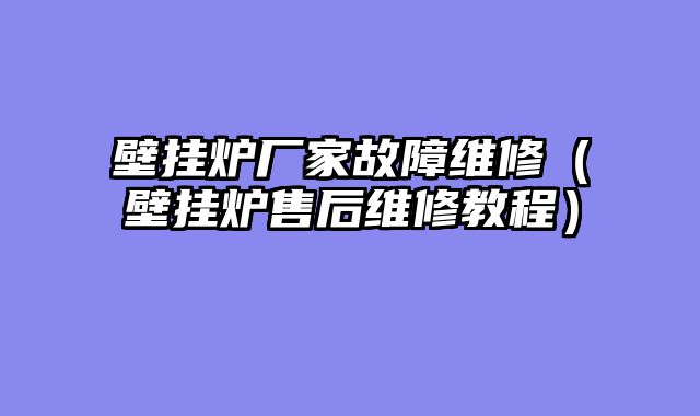 壁挂炉厂家故障维修（壁挂炉售后维修教程）