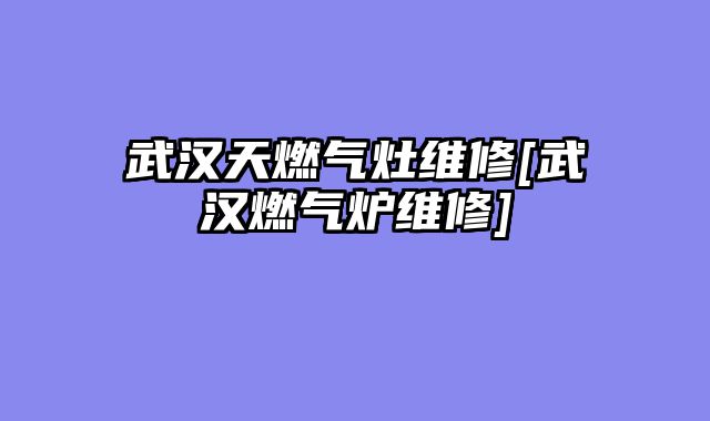 武汉天燃气灶维修[武汉燃气炉维修]
