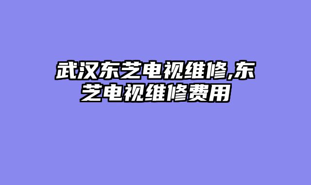武汉东芝电视维修,东芝电视维修费用