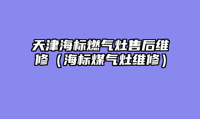 天津海标燃气灶售后维修（海标煤气灶维修）