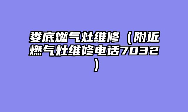 娄底燃气灶维修（附近燃气灶维修电话7032）