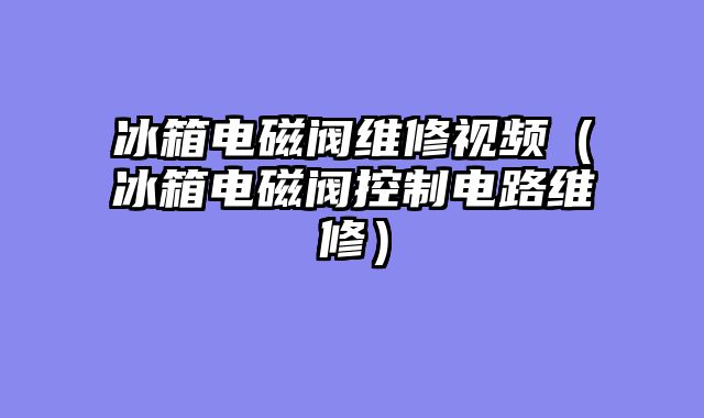 冰箱电磁阀维修视频（冰箱电磁阀控制电路维修）