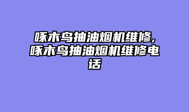 啄木鸟抽油烟机维修,啄木鸟抽油烟机维修电话