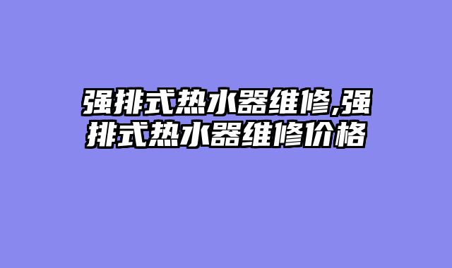 强排式热水器维修,强排式热水器维修价格