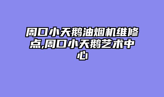 周口小天鹅油烟机维修点,周口小天鹅艺术中心
