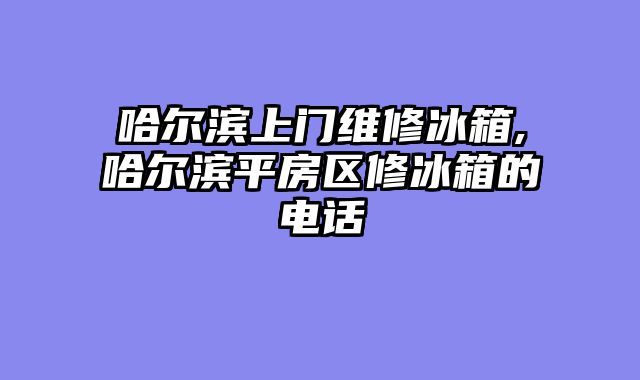 哈尔滨上门维修冰箱,哈尔滨平房区修冰箱的电话