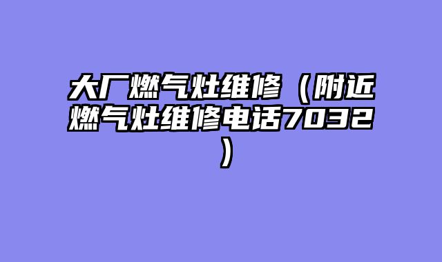 大厂燃气灶维修（附近燃气灶维修电话7032）