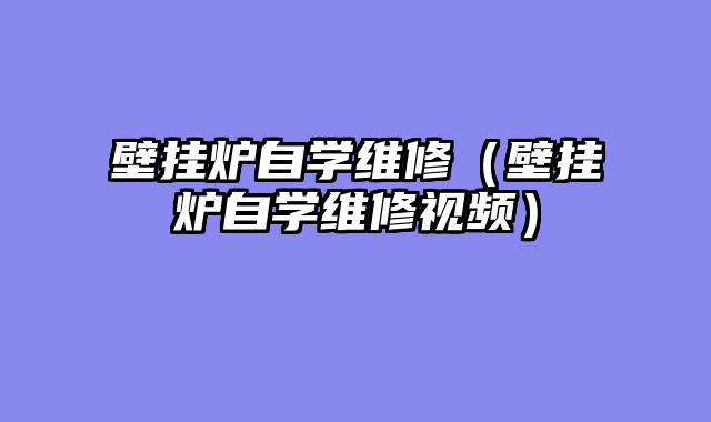 壁挂炉自学维修（壁挂炉自学维修视频）