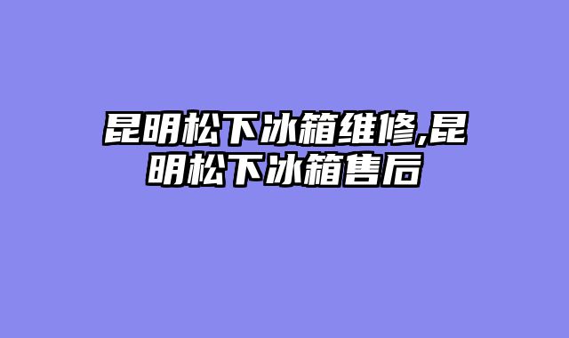 昆明松下冰箱维修,昆明松下冰箱售后