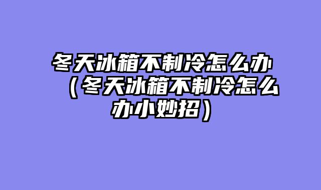 冬天冰箱不制冷怎么办（冬天冰箱不制冷怎么办小妙招）