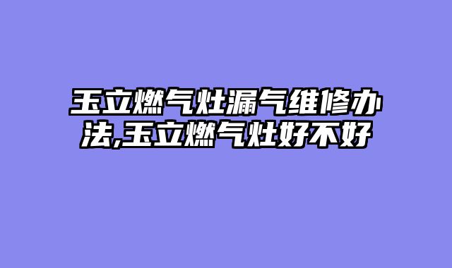 玉立燃气灶漏气维修办法,玉立燃气灶好不好