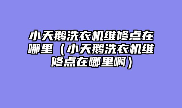 小天鹅洗衣机维修点在哪里（小天鹅洗衣机维修点在哪里啊）