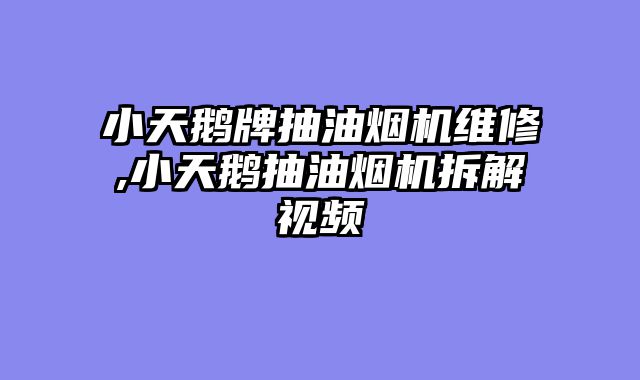 小天鹅牌抽油烟机维修,小天鹅抽油烟机拆解视频
