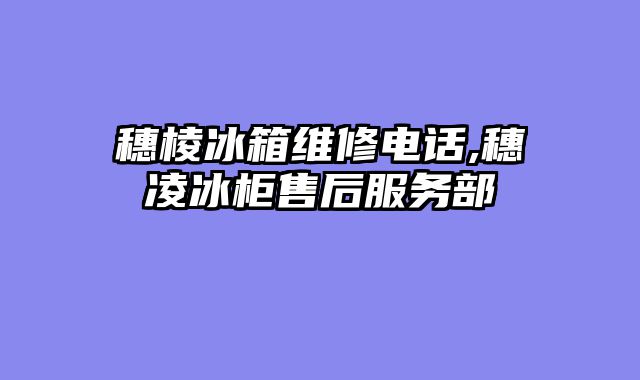 穗棱冰箱维修电话,穗凌冰柜售后服务部