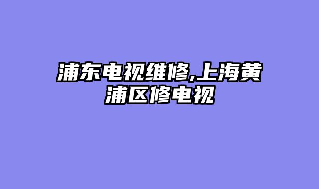 浦东电视维修,上海黄浦区修电视