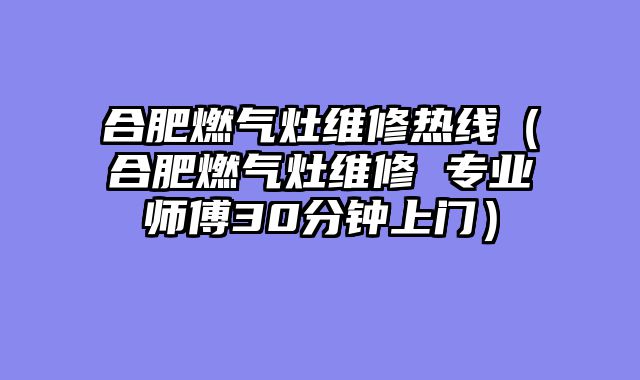 合肥燃气灶维修热线（合肥燃气灶维修 专业师傅30分钟上门）