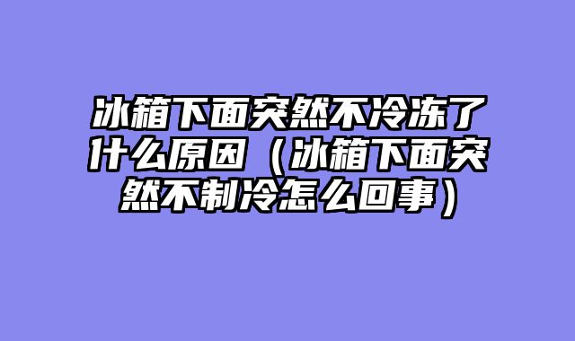 冰箱下面突然不冷冻了什么原因（冰箱下面突然不制冷怎么回事）