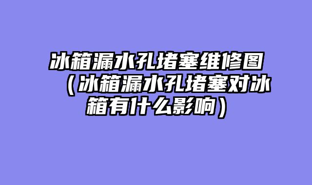 冰箱漏水孔堵塞维修图（冰箱漏水孔堵塞对冰箱有什么影响）