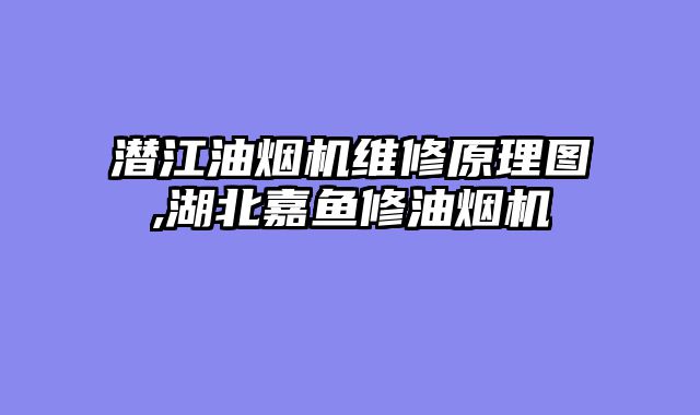潜江油烟机维修原理图,湖北嘉鱼修油烟机
