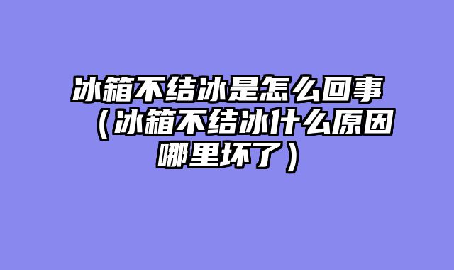 冰箱不结冰是怎么回事（冰箱不结冰什么原因哪里坏了）