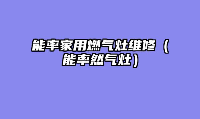 能率家用燃气灶维修（能率然气灶）