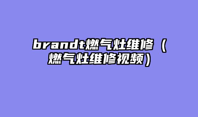 brandt燃气灶维修（燃气灶维修视频）