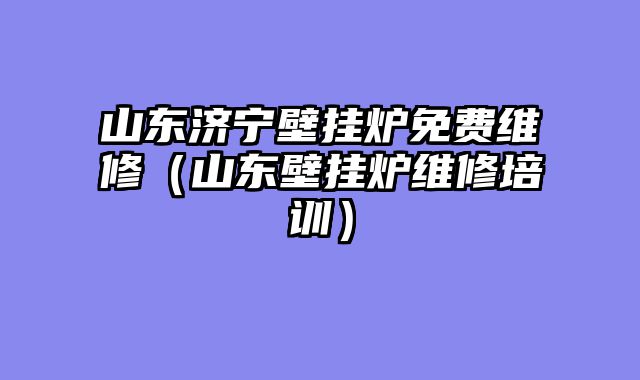 山东济宁壁挂炉免费维修（山东壁挂炉维修培训）