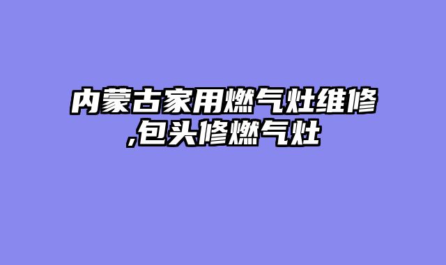 内蒙古家用燃气灶维修,包头修燃气灶