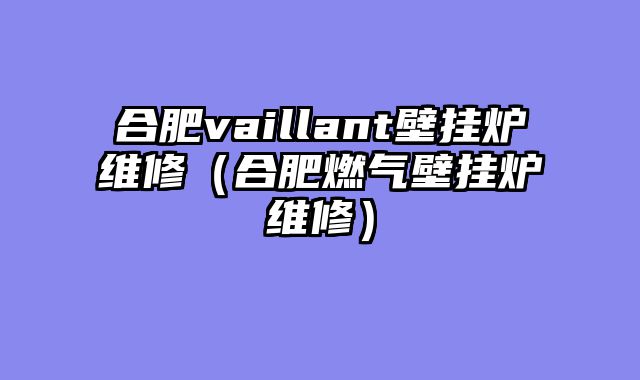合肥vaillant壁挂炉维修（合肥燃气壁挂炉维修）