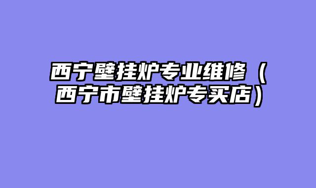 西宁壁挂炉专业维修（西宁市壁挂炉专买店）