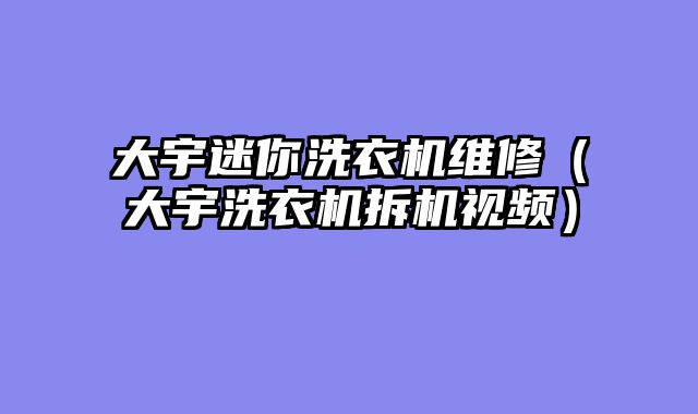 大宇迷你洗衣机维修（大宇洗衣机拆机视频）