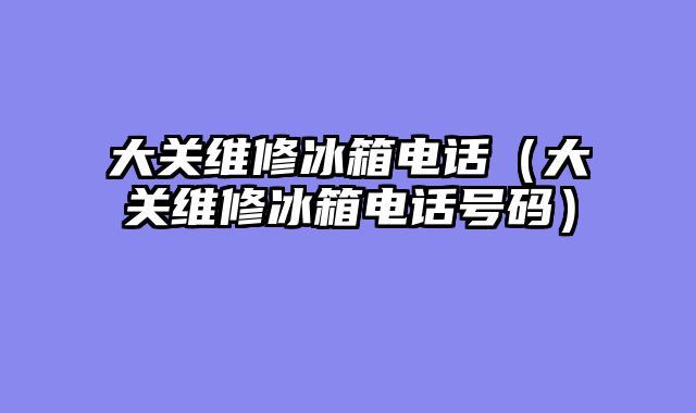 大关维修冰箱电话（大关维修冰箱电话号码）