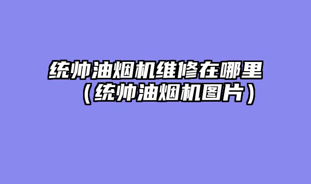 统帅油烟机维修在哪里（统帅油烟机图片）