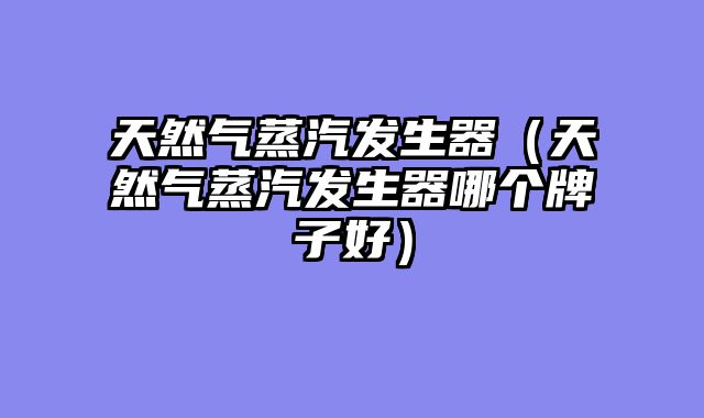 天然气蒸汽发生器（天然气蒸汽发生器哪个牌子好）