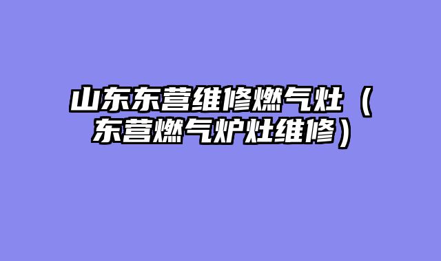 山东东营维修燃气灶（东营燃气炉灶维修）