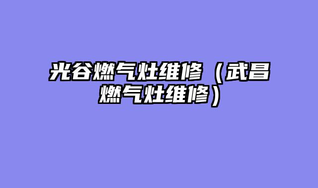 光谷燃气灶维修（武昌燃气灶维修）