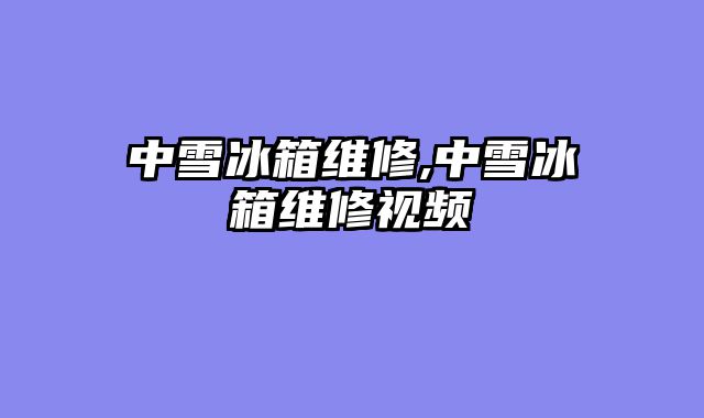中雪冰箱维修,中雪冰箱维修视频