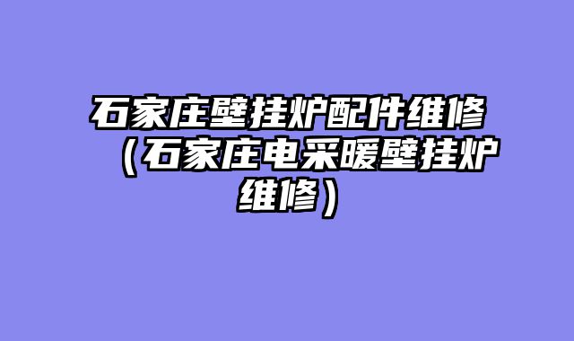 石家庄壁挂炉配件维修（石家庄电采暖壁挂炉维修）