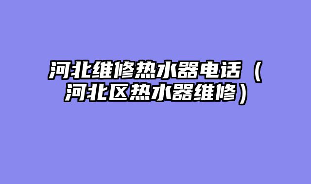 河北维修热水器电话（河北区热水器维修）