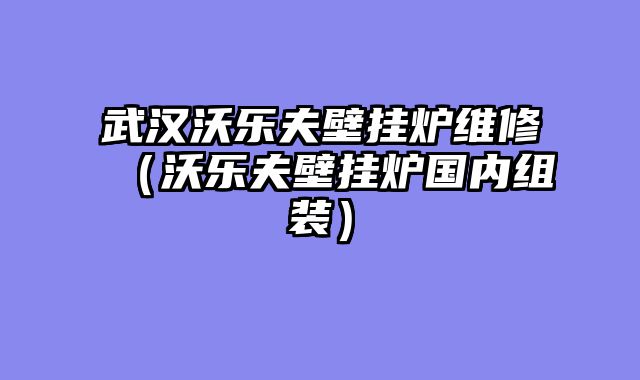武汉沃乐夫壁挂炉维修（沃乐夫壁挂炉国内组装）