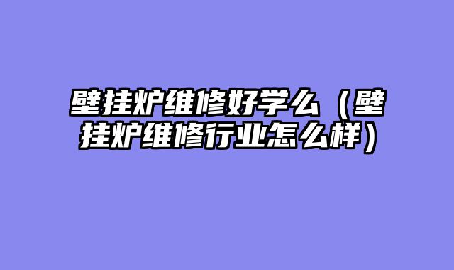 壁挂炉维修好学么（壁挂炉维修行业怎么样）