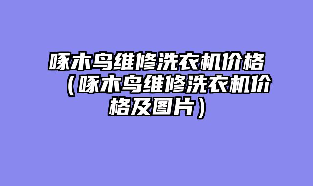 啄木鸟维修洗衣机价格（啄木鸟维修洗衣机价格及图片）