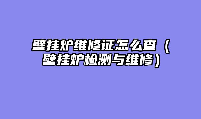壁挂炉维修证怎么查（壁挂炉检测与维修）