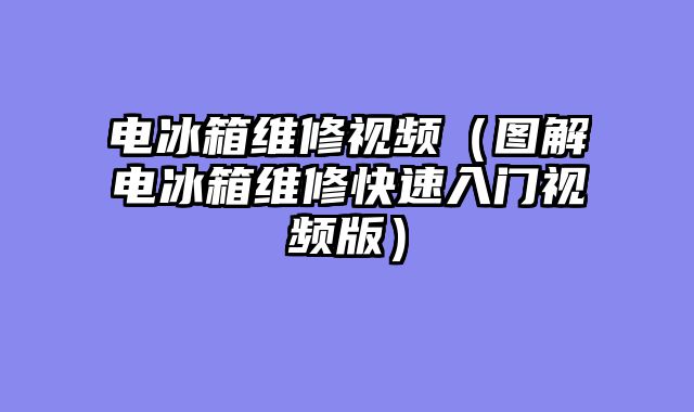 电冰箱维修视频（图解电冰箱维修快速入门视频版）