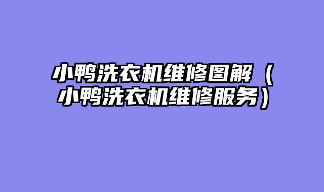 小鸭洗衣机维修图解（小鸭洗衣机维修服务）
