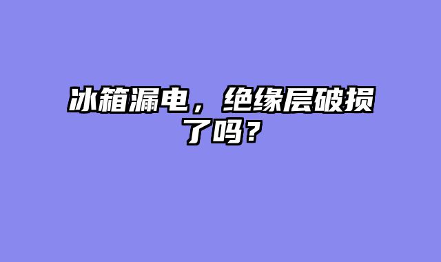 冰箱漏电，绝缘层破损了吗？